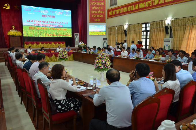 Hội nghị bàn giải pháp phát triển nông nghiệp ở Ứng Hòa. Ảnh: NNVN