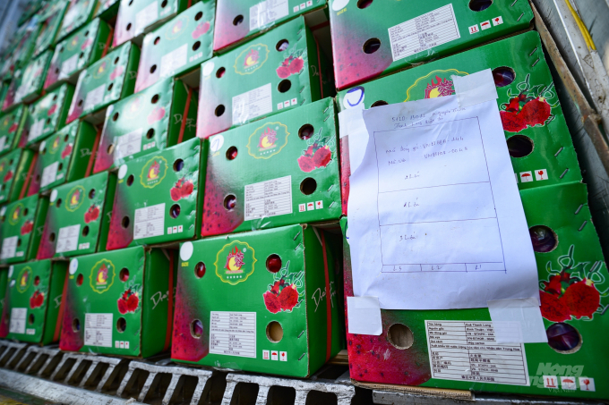 Hundreds of dragon fruit containers are waiting for export in Lang Son. Photo: Tung Dinh.