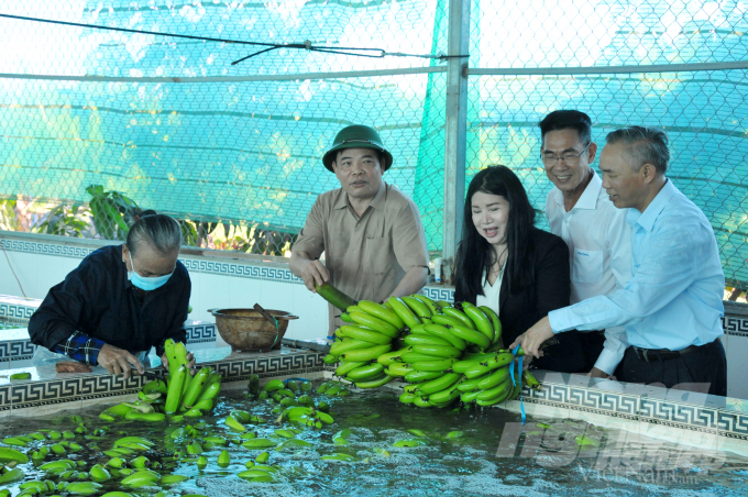 Bộ trưởng thăm trang trại chuối cấy mô tại xã Tân Tiến, huyện Tri Tôn, An Giang. Ảnh: Minh Sáng.