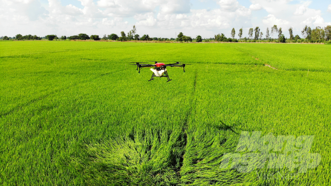Do nhu cầu phát triển công nghệ số 4.0 trong nông nghiệp ngày càng cao, các doanh nghiệp và HTX tại ĐBSCL đã trang bị máy bay không người lái để làm dịch vụ phun thuốc BVTV cho nông dân trên lúa, rau màu và cây ăn trái.