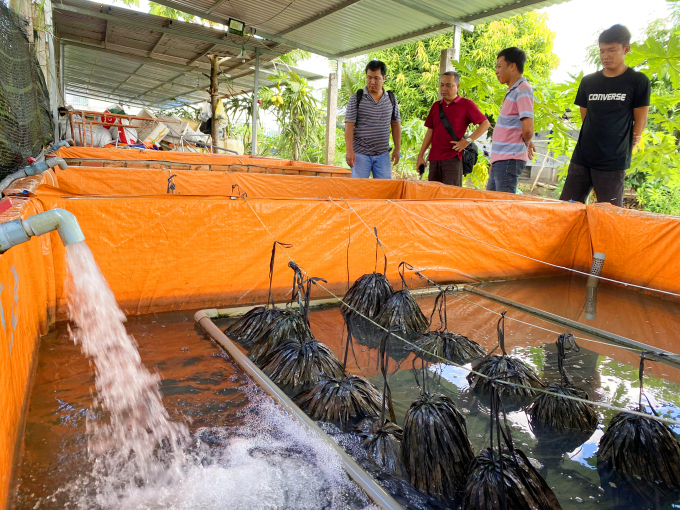 Để thực hiện ước mơ, ban đầu anh Lộc dùng hết số tiền dành dụm làm việc ở nước ngoài cộng thêm tiền mượn gia đình, bỏ ra hơn 1,5 tỷ đồng mở trại sản xuất lươn giống Tam Lộc với diện tích trên 1ha, được chia ra 130 bồn nuôi lươn giống theo quy trình hiện đại.