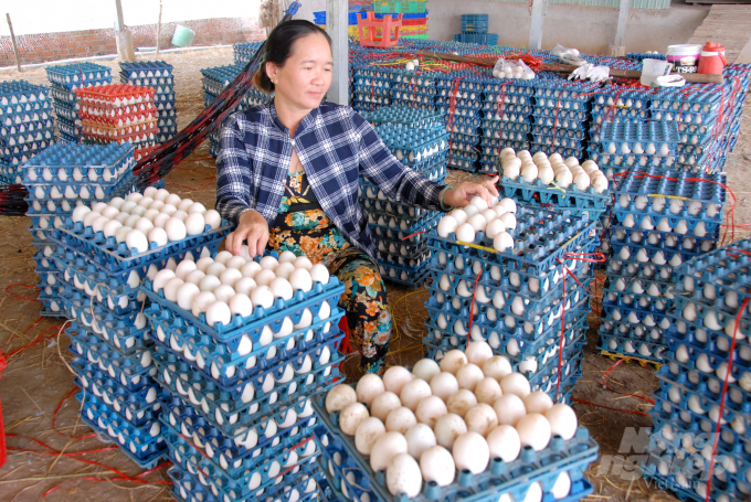 Chuồng trại tốt - nguồn trứng sạch do không sử dụng kháng sinh, đồng đều - sản lượng đảm bảo. Cuối năm 2017, trang trại nuôi vịt sinh học của ông Mới được Sở Công Thương Thành phố Hồ Chí Minh gắn mã vạch truy xuất nguồn gốc trứng vịt, trở thành trang trại trứng vịt đầu tiên ở ĐBSCL đáp ứng được yêu cầu truy xuất nguồn gốc.
