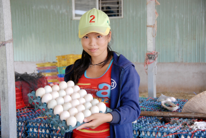 Ngoài bán trứng ra thị trường các tỉnh ĐBSCL, nguồn trứng vịt của ông được Cty thực phẩm Vĩnh Thành Đạt (TP.HCM) đứng ra bao tiêu sản phẩm trứng để xuất khẩu sang Singrapore.