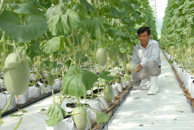 Đến nay tỉnh An Giang đã mời gọi được 60/241 dự án đăng ký đầu tư vào nông nghiệp. Ảnh: Lê Hoàng Vũ.