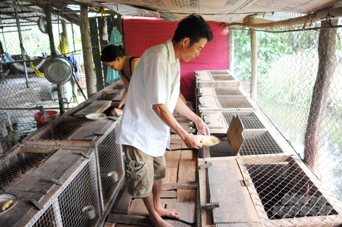 Anh Trần Quốc Khánh đang chăm sóc trang trại nuôi chồn hương của mình. Ảnh: Lê Hoàng Vũ.