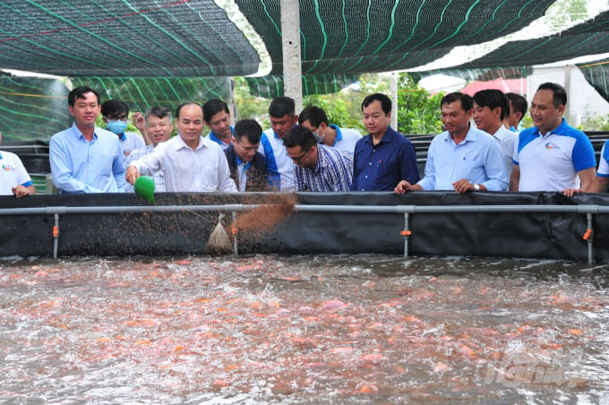 Ông Trần Đình Luân, Tổng Cục trưởng Tổng Cục Thủy sản tham quan mô hình nuôi cá điêu hồng công nghệ cao tại Vĩnh Long. Ảnh: Lê Hoàng Vũ.