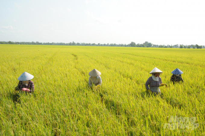Sở NN-PTNT Đồng Tháp phát động phong trào thi đua 'Phát triển mô hình sản xuất lúa hướng hữu cơ, lúa chất lượng cao, nông sản sạch gắn với liên kết tiêu thụ' năm 2021. Ảnh: Lê Hoàng Vũ.