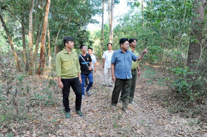 Cháy rừng thường xuất hiện từ tháng 1 đến tháng 5 đối với khu vực đồi núi. Trong đó, huyện Tịnh Biên là địa phương với diện tích rừng có nguy cơ xảy ra cháy cao nhất với hơn 2.900 ha, tiếp đến là huyện Tri Tôn với hơn 1.800 ha 