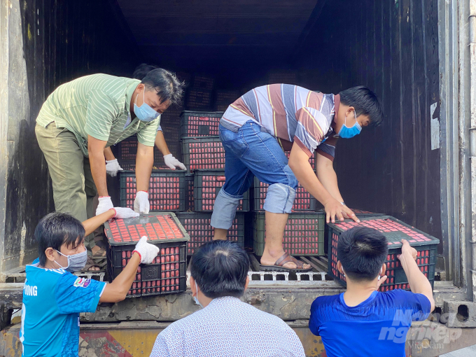 20 tấn vải thiều đạt tiêu chuẩn VietGAP được vận chuyện bằng xe container lạnh từ Bắc Giang về thành phố Cần Thơ. Ảnh: Lê Hoàng Vũ.