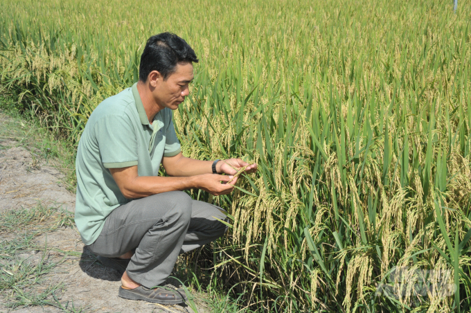 Thời gian qua hợp tác xã và tổ hợp tác đã có những đóng góp quan trọng vào việc phát triển kinh tế, xã hội của tỉnh Đồng Tháp, đặc biệt là lĩnh vực nông nghiệp. Ảnh: Lê Hoàng Vũ.