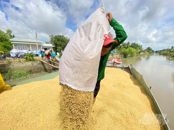 Hiện nay giá lúa đang giảm, ngành nông nghiệp khuyến cáo nông dân cần tăng cường liên kết trong sản xuất lúa gạo, phát huy vai trò của các hợp tác xã và tổ hợp tác trong thực hiện khâu phơi sấy và trữ lúa sau thu hoạch.