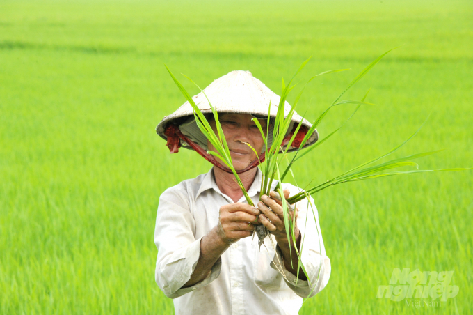 Đồng Tháp khuyến khích nông dân chuyển sang áp dụng hữu cơ. Ảnh: Lê Hoàng Vũ.