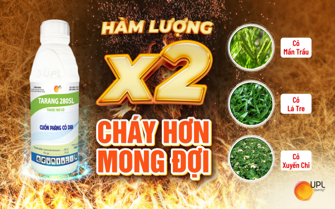 Sản phẩm thuốc trừ cỏ không chọn lọc Tarang 280SL.