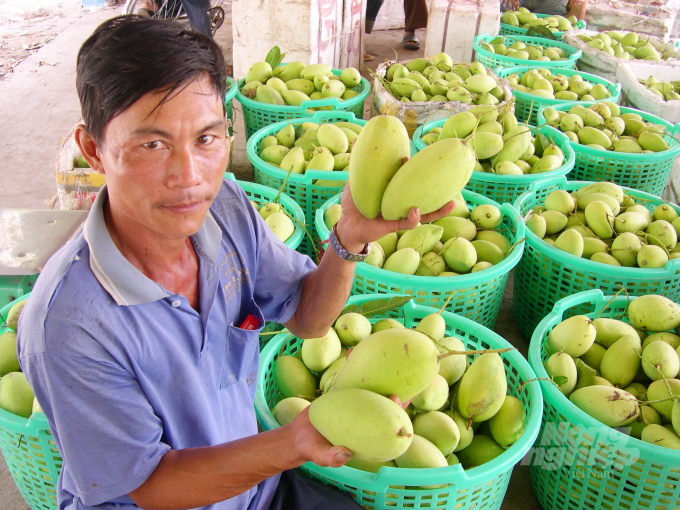 UBND tỉnh Đồng Tháp chỉ đạo một số sở, ngành tỉnh và địa phương thực hiện các giải pháp tháo gỡ khó khăn, vướng mắc trong chuỗi ngành hàng rau quả chủ lực của tỉnh. Ảnh: Lê Hoàng Vũ.