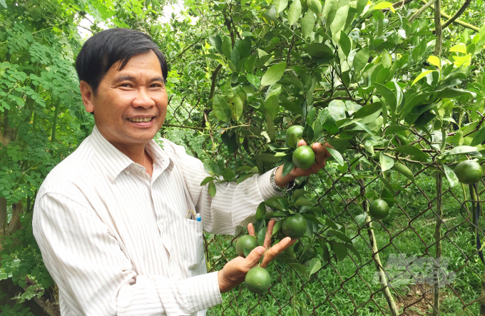 Ông Tống Văn Phong, Giám đốc HTX Nông sản sạch Vĩnh Thới, ở huyện Lai Vung - Đồng Tháp. Ảnh: Lê Hoàng Vũ.