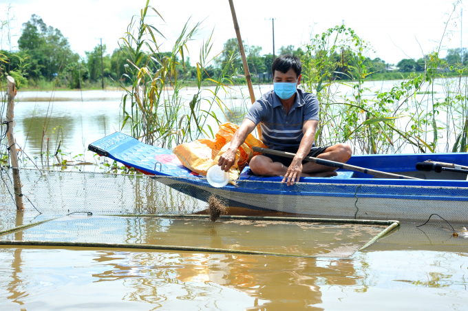 Anh Trịnh Văn Hận, ở ấp Phú Lợi, xã Phú Hữu, huyện An Phú là một trong những hộ dân được Sở NN-PTNT An Giang hỗ trợ mô hình sinh kế trong mùa lũ. Ảnh: Văn Vũ.