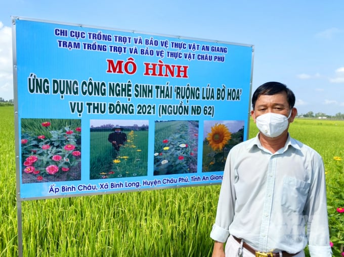 Trong vụ lúa thu đông 2021, toàn tỉnh An Giang thực hiện được 25 mô hình Công nghệ sinh thái tại 11 huyện, thị và thành phố. Ảnh: Văn Vũ.
