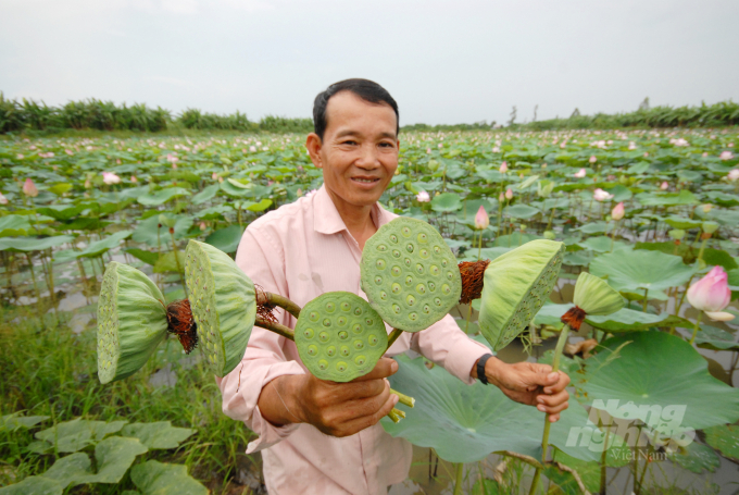 Các HTX ở Đồng Tháp đưa sản phẩm từ sen tham gia chương trình OCOP. Ảnh: Lê Hoàng Vũ.