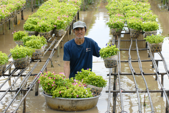 Dù khó khăn nhưng nông dân trồng hoa kiểng ở làng hoa kiểng Phó Thọ - Bà Bộ, TP Cần Thơ vẫn nỗ lực để duy trì nghề. Ảnh: Lê Hoàng Vũ.