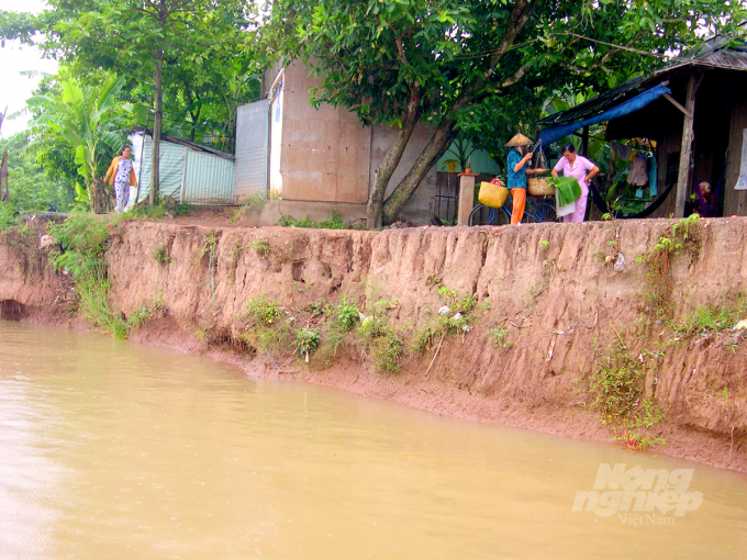 Hiện nay, trên toàn tỉnh An Giang có hơn 52 đoạn sông cảnh báo nguy cơ sạt lở từ mức độ bình thường đến rất nguy hiểm. Ảnh: Lê Hoàng Vũ.