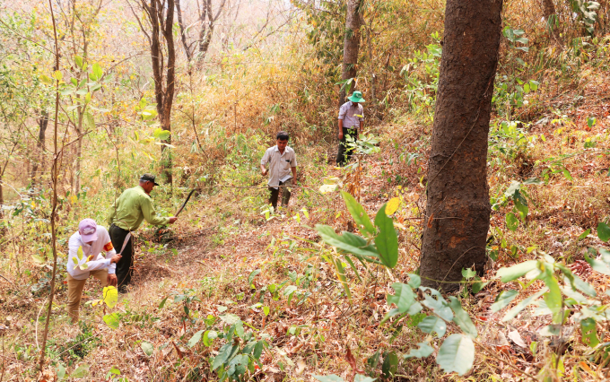 Ngành kiểm lâm An Giang đang tập trung triển khai các biện pháp PCCR ở khu vực Bảy Núi trong mùa khô. Ảnh: Lê Hoàng Vũ.