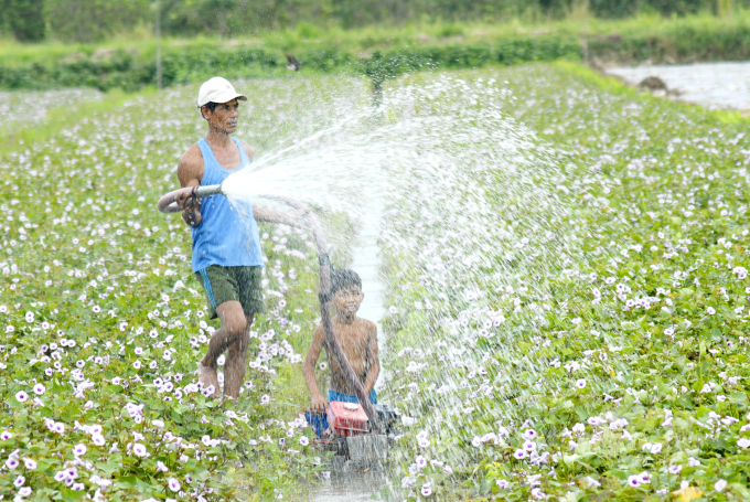 Dự kiến, trong giai đoạn 2021 – 2025 Đồng Tháp sẽ có 15 - 20% diện tích canh tác lúa, cây ăn quả, rau màu, cây trồng cạn được đầu tư hệ thống tưới tiêu hiện đại, thông minh theo mô hình. Ảnh: Lê Hoàng Vũ.