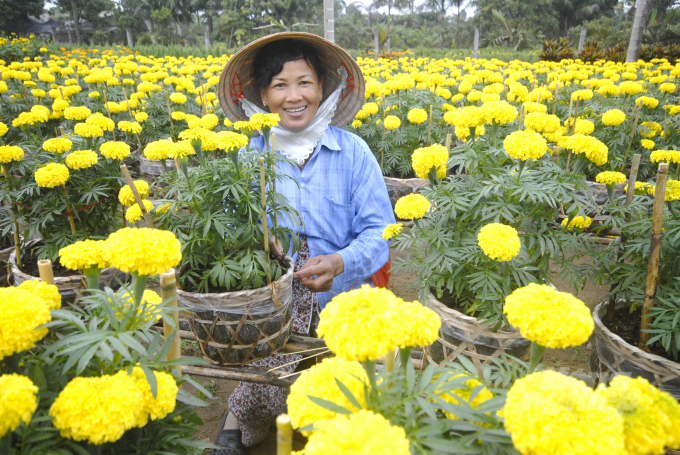 Nhờ thực hiện tái cơ cấu trong lĩnh vực nông nghiệp, nông thôn ở Đồng Tháp đã giúp cho cư dân nông thôn tăng thêm thu nhập đáng kể. Ảnh: Lê Hoàng Vũ.