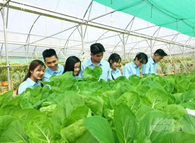  Sinh viên Trường Cao đẳng Cơ Điện và Nông nghiệp Nam Bộ thực tập tại các khu nhà lưới ứng dụng công nghệ cao. Ảnh: Ngọc Bích.