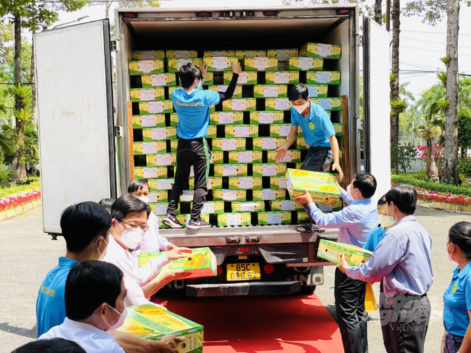 The first batch of mangoes in 2022 from Dong Thap province on its way to Europe. Photo: Le Hoang Vu.