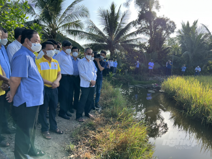 Bộ trưởng Bộ NN-PTNT cùng với đoàn tham quan mô hình tôm lúa tại huyện Hồng Dân tỉnh Bạc Liêu. Ảnh: Trọng Linh.