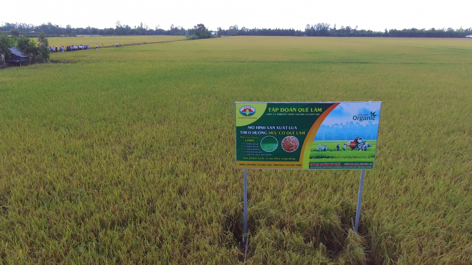 Tập đoàn Quế Lâm mở rộng sản xuất nông sản hữu cơ ở miền Nam. Ảnh: TS