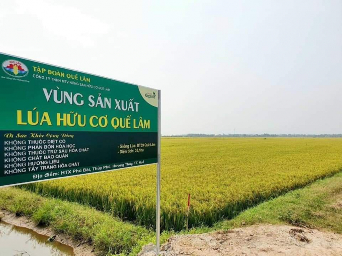 Thừa Thiên - Huế ưu tiên phát triển sản xuất nông nghiệp theo hướng ứng dụng công nghệ cao, nông nghiệp hữu cơ, liên kết theo chuỗi giá trị, gắn với thị trường tiêu thụ, thích ứng với biến đổi khí hậu và bảo vệ môi trường. Ảnh: CĐ.