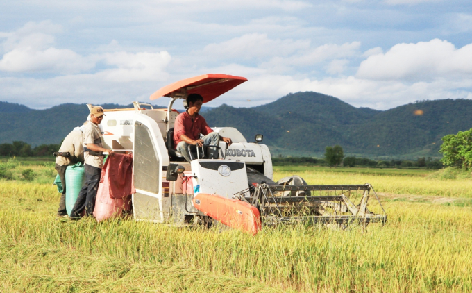 co-gioi-hoa-tren-canh-dong-phu-thien-075417_912.jpg Cơ giới hóa trên cánh đồng lúa Phú Thiện.