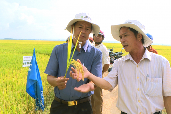 viec-ky-ket-san-xuat-va-bao-tieu-lua-se-giup-nguoi-dan-yen-tam-san-xuat-075514_117.jpg Việc ký kết và bao tiêu lúa sẽ giúp người dân yên tâm sản xuất.