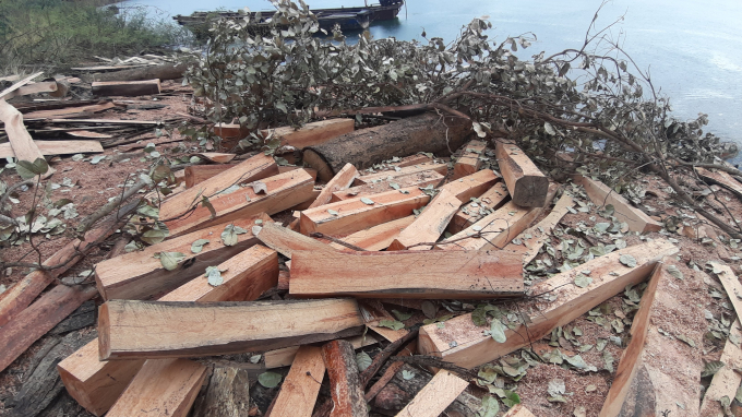'Lâm tặc' xẻ gỗ rồi đem đi tẩu tán.