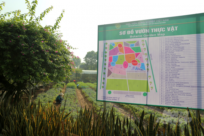 1-125339_347.jpg Học viện Nông nghiệp Việt Nam tọa lạc tại Trâu Quỳ, huyện Gia Lâm, Hà Nội. Đây là một trong những ngôi trường có diện tích rộng nhất cả nước, với gần 200ha. Vườn thực vật Học viện Nông nghiệp toạ lạc bên trong trường đang dần trở thành địa điểm thu hút giới trẻ.