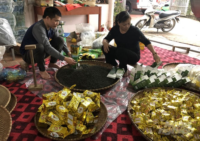 Người làm chè phấn khởi vì giá chè dịp Tết tăng cao. Ảnh: Đồng Văn Thưởng.