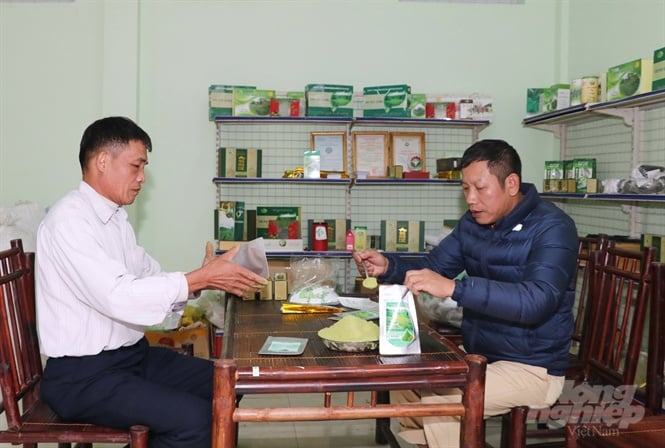 Sản xuất bột trà xanh tại HTX chè Khe Cốc. Ảnh: Đồng Văn Thưởng