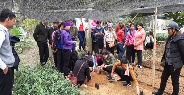 Các học viên tham gia lớp tập huấn.