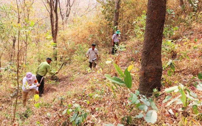 anh-1--pccr-mua-kho-1537_20200219_726.jpg Hiện nay khu vực rừng Bảy Núi - An Giang đang báo động cháy cấp 5 cấp cực kỳ nguy hiểm. Lực lượng kiểm lâm luôn túc trực tuần tra 24/24 để bảo vệ rừng. Ảnh: Lê Hoàng Vũ.