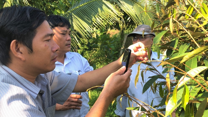 han-man-khoc-liet-thue-sa-lan-cho-nuoc-ngot-cuu-vuon-cay-1630_20200220_179.jpg Các bác sĩ cây trồng tư vấn giúp nhà vườn trị bệnh vườn cây. Ảnh: Minh Sáng.