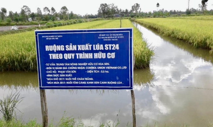 Vùng luân canh tôm-lúa bền vững ở Sóc Trăng. Ảnh: VT.