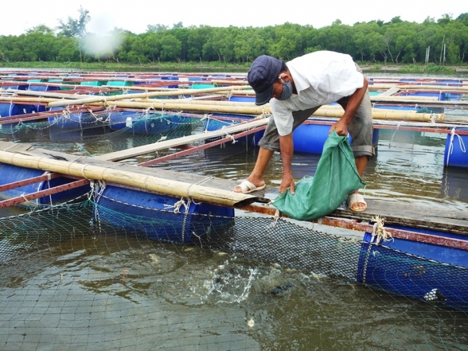 Các lô thủy sản không có giấy chứng nhận kiểm dịch sẽ bị tiêu hủy theo quy định của Luật Thủy sản. Ảnh: TL.