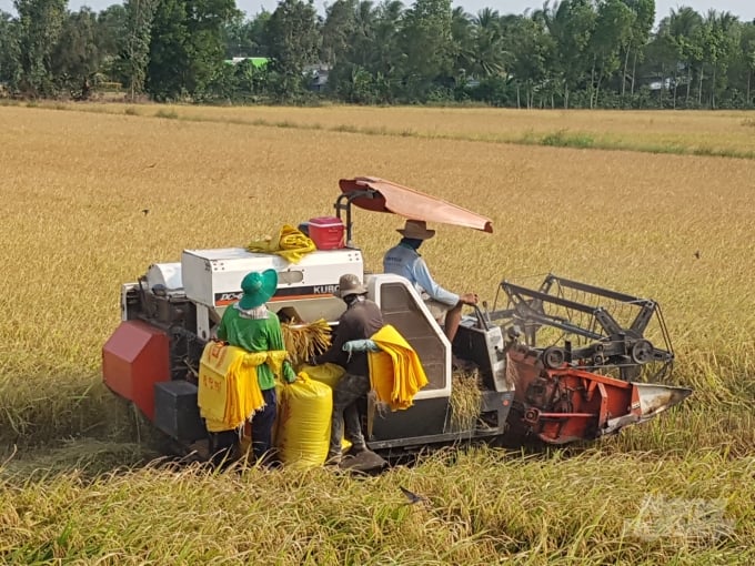 Năm 2020, Bạc Liêu sẽ xây dựng thêm 10 cánh đồng lớn, qua đó nâng số cánh đồng lớn toàn tỉnh lên 38 cánh đồng.