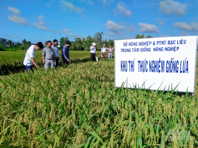 Tỉnh Bạc Liêu khuyến khích phát triển hợp tác, liên kết trong sản xuất và tiêu thụ sản phẩm nông nghiệp. Ảnh: Trọng Linh.
