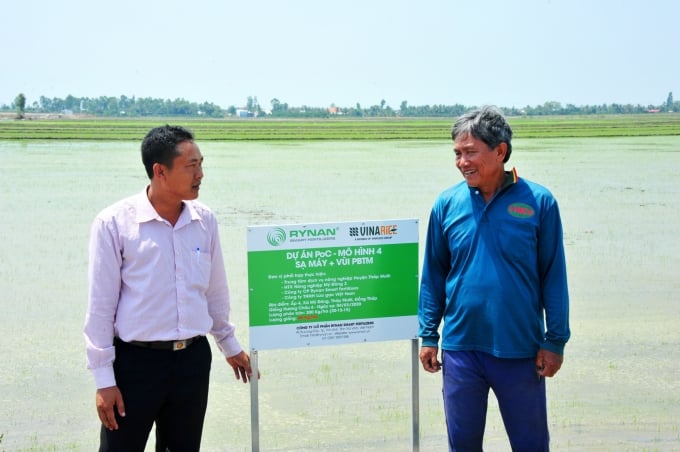 Sản xuất lúa trên cánh đồng lý tưởng tại huyện Tháp Mười – Đồng Tháp. Ảnh: Lê Hoàng Vũ.
