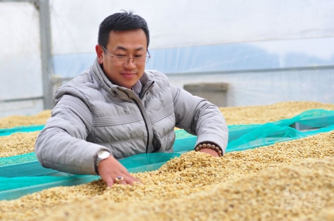 Cà phê chọn làm trà là loại chất lượng cao nên phần nhân cũng được bán với giá cao. Ảnh: Minh Hậu.