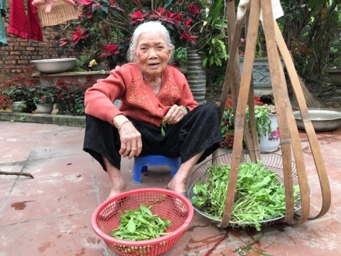 0907188890743344_848207252330679_2504802120750858240_n-090718.jpg Khi rảnh, cụ lại nhặt rau giúp con cháu