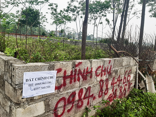 Các tờ thông báo giao dịch đất được dán ở nhiều nơi.