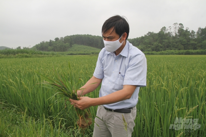 Dù vậy nhà nông tuyệt đối không được chủ quan, lơ là. Ảnh: Việt Khánh.